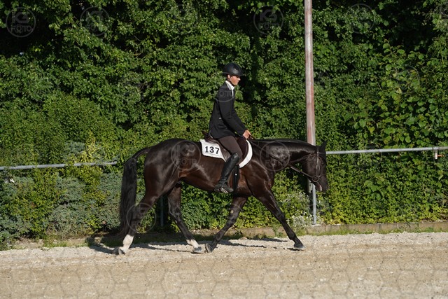 sA9K05975.JPG